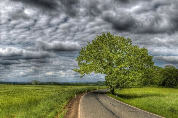 Landscape of a field and a road going into the distance