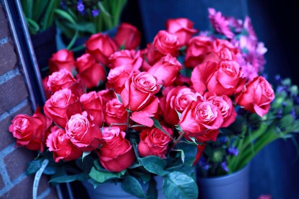 Blumenstrauß aus schicken rosa Rosen