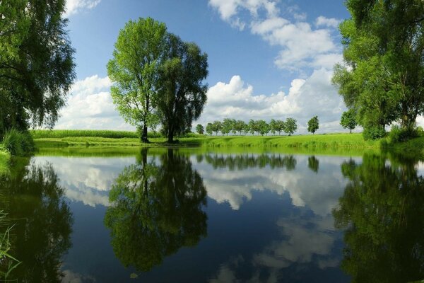 Paisaje con estanques, ríos y arroyos