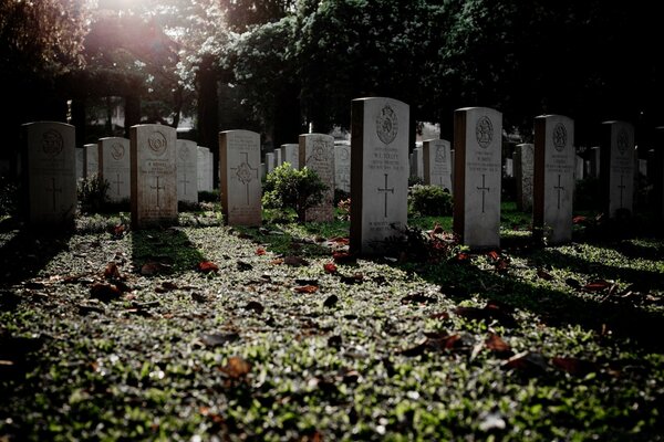 Rows of tombstones under the rays of the sun