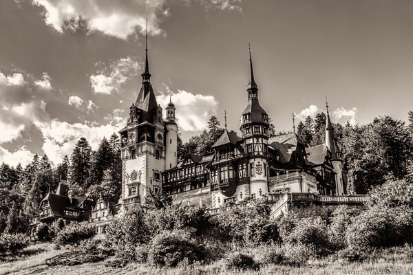 Foto en blanco y negro del antiguo castillo