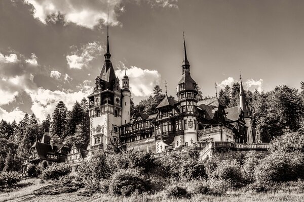 Photo en noir et blanc du vieux château