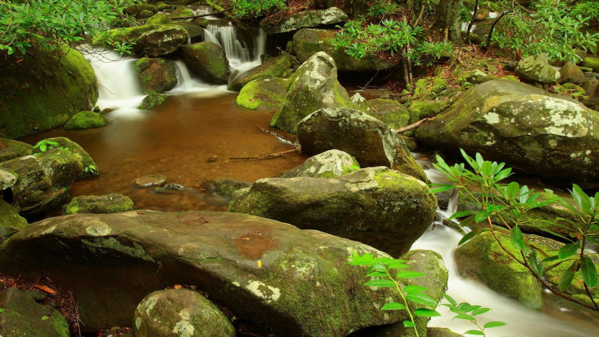 flüsse teiche und bäche teiche und bäche wasser moos fluss fluss natur wasserfall rock holz im freien blatt herbst fluss stein landschaft park schrei