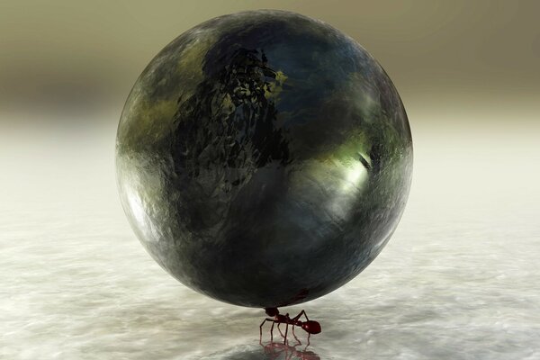 An ant holds a large ball