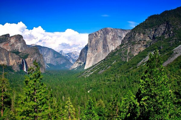 Beautiful landscape mountains and green grass