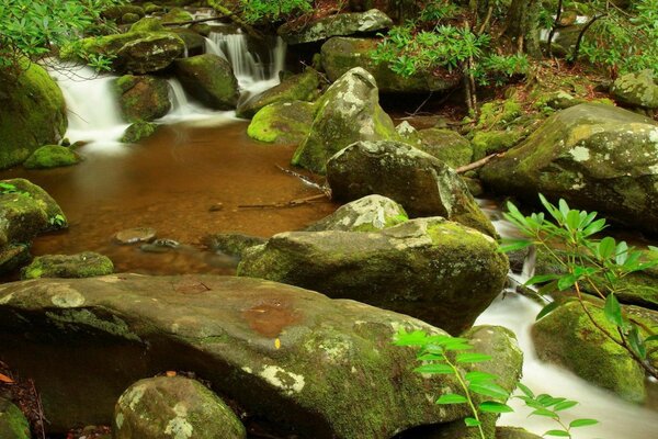 Piedras viejas con musgo cerca del cuerpo de agua