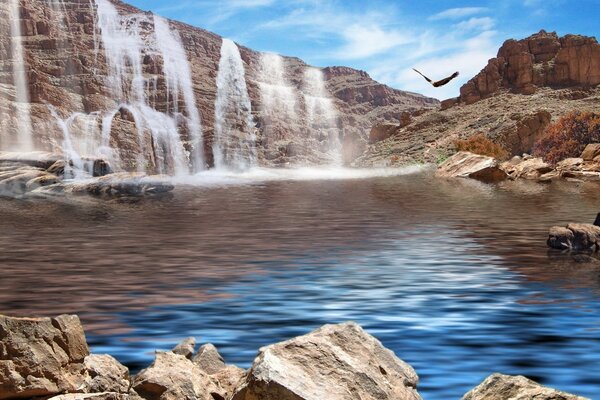 Diverse cascate e un uccello volante