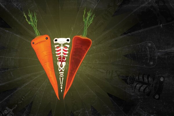 Carrot with eyes cut into halves and its skeleton