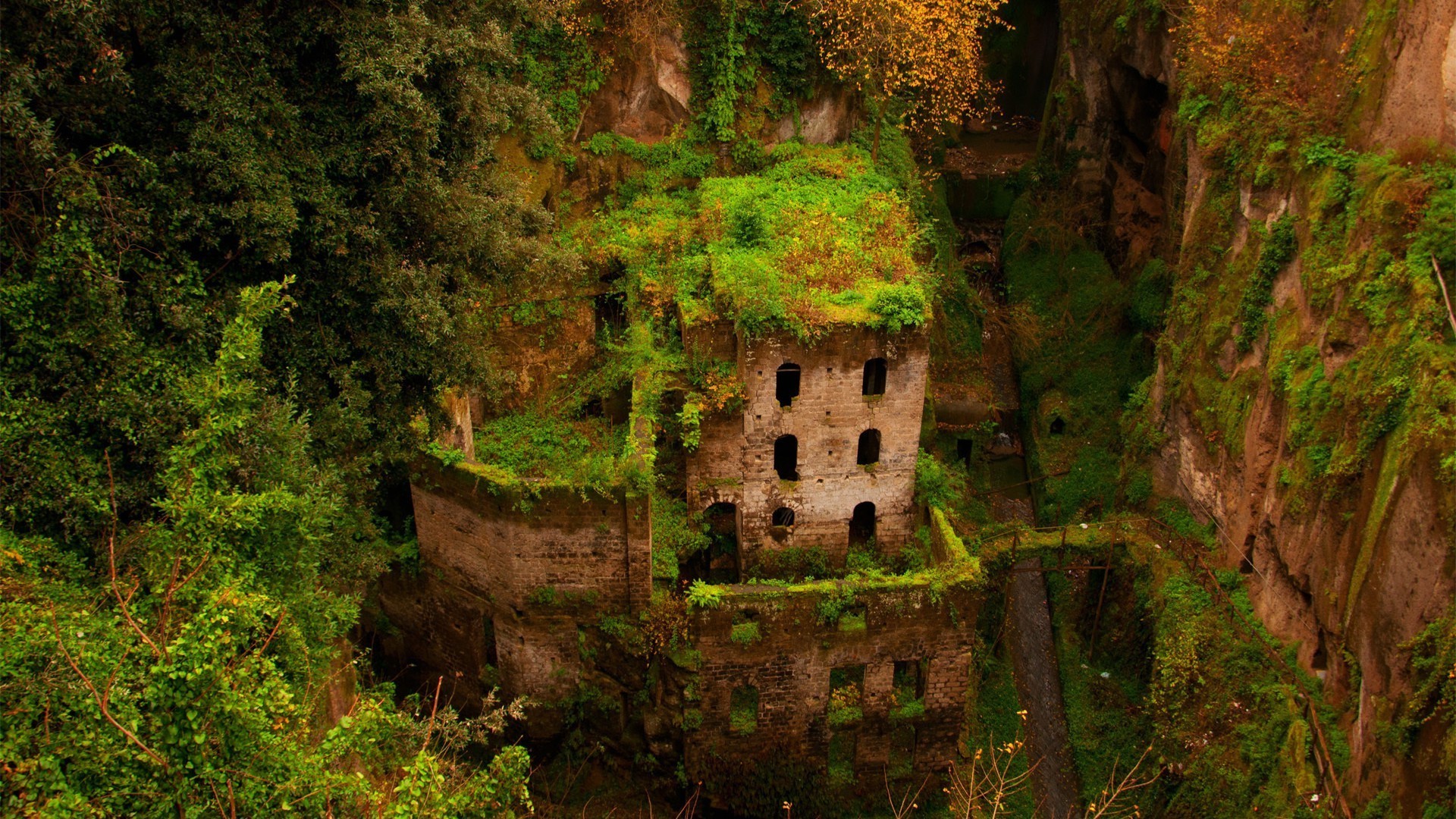 ancient architecture architecture travel wood tree old ancient outdoors