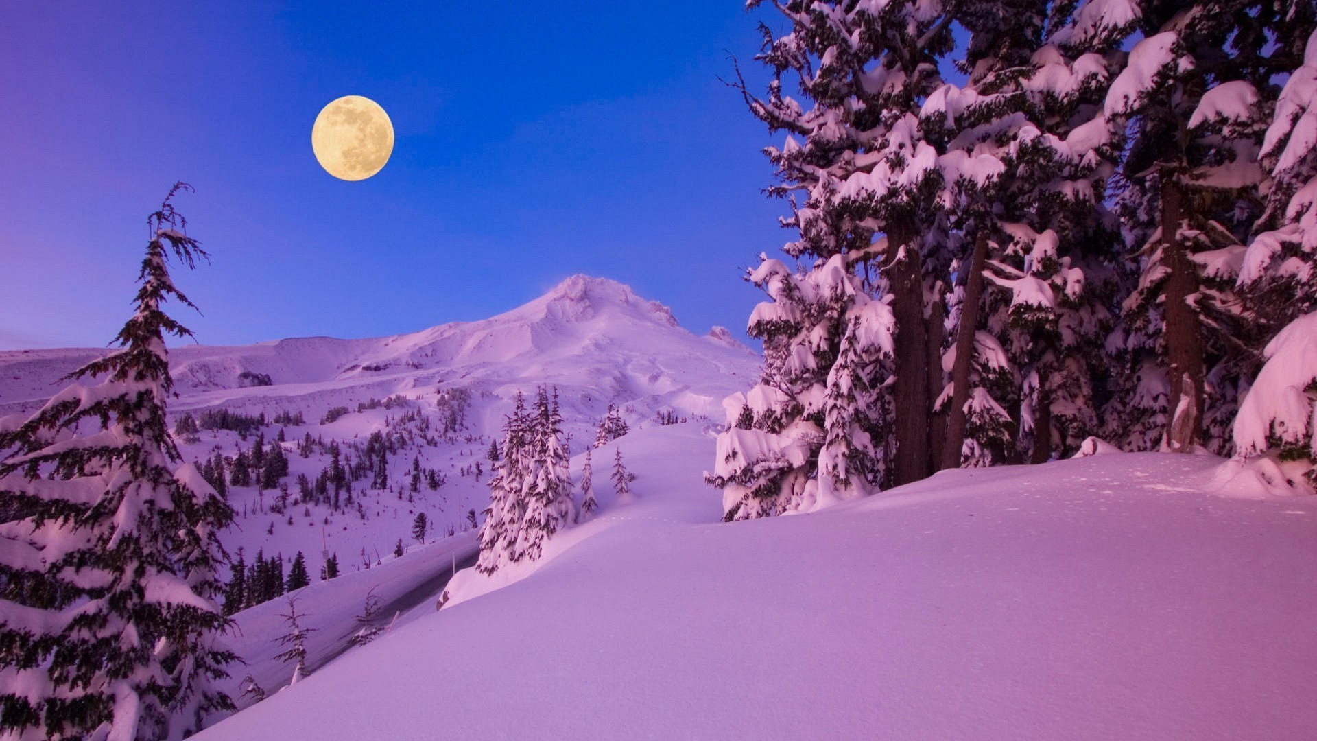 el invierno la nieve el bonito el frío la madera la montaña el árbol el paisaje el frío al aire libre de temporada