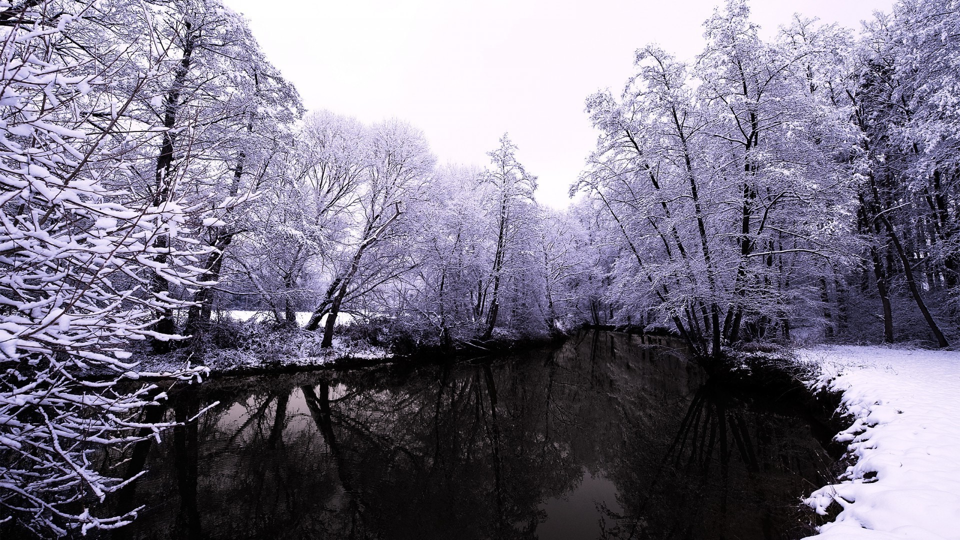 rivers ponds and streams tree winter wood snow landscape cold nature frost park scenic season ice branch fog scenery outdoors frozen