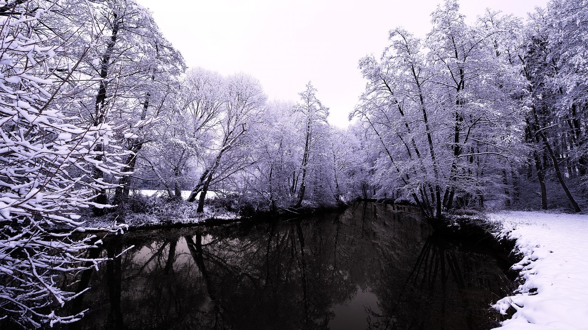 fiumi stagni e torrenti stagni e torrenti albero inverno legno neve paesaggio freddo natura gelo parco scenico stagione ghiaccio ramo nebbia paesaggio all aperto congelato