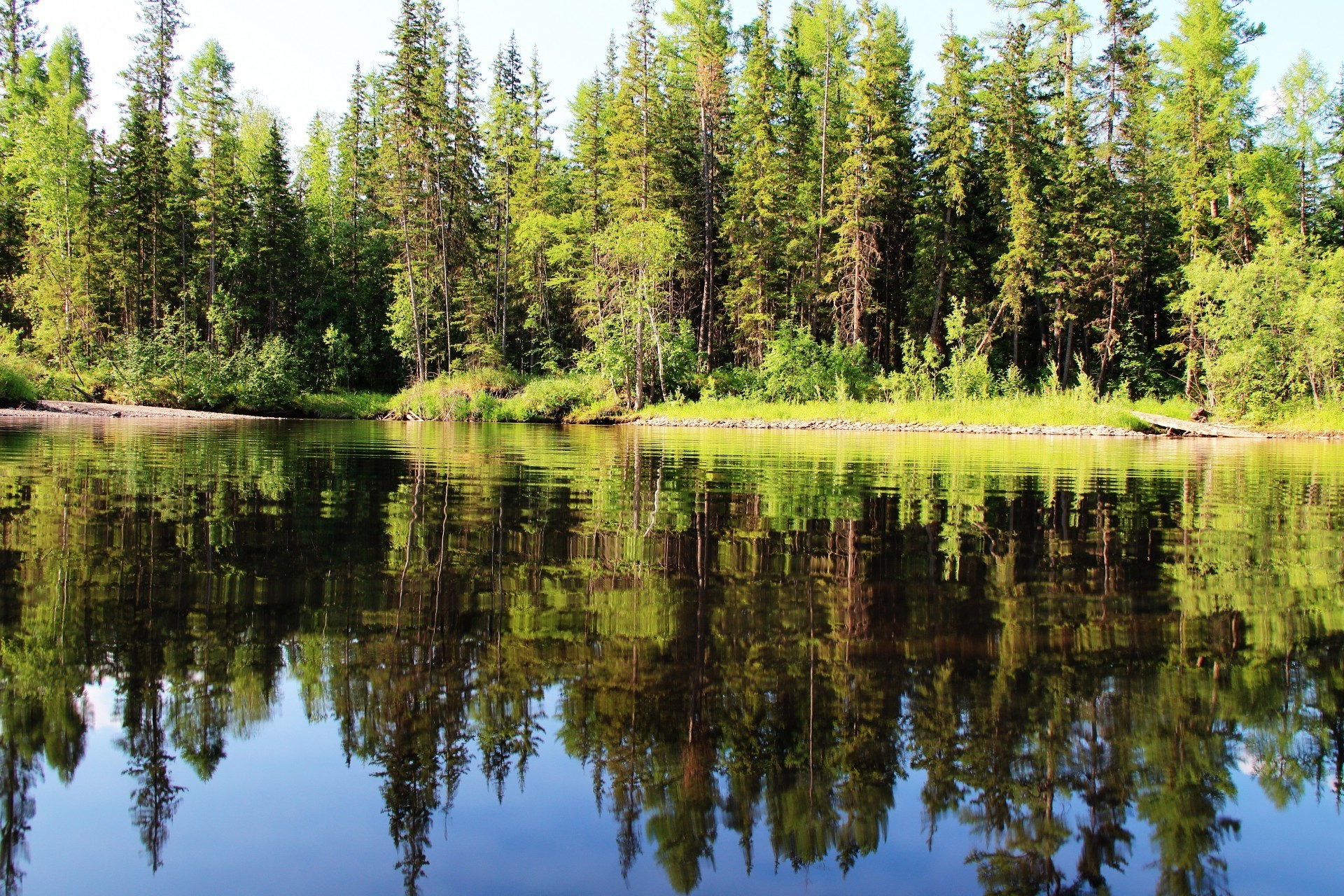 lake wood nature water outdoors tree landscape scenic reflection summer wild river sky fair weather daylight park composure fall leaf