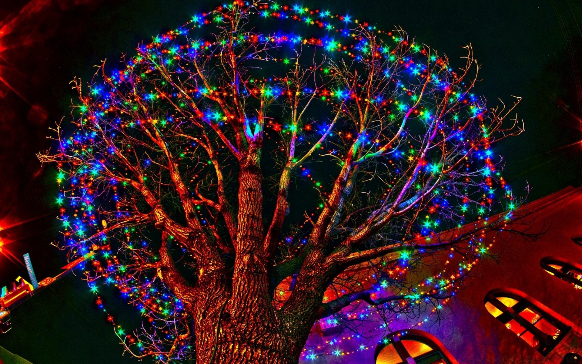 nouvel an lumineux festival couleur rond mouvement vacances noël plaisir lumière