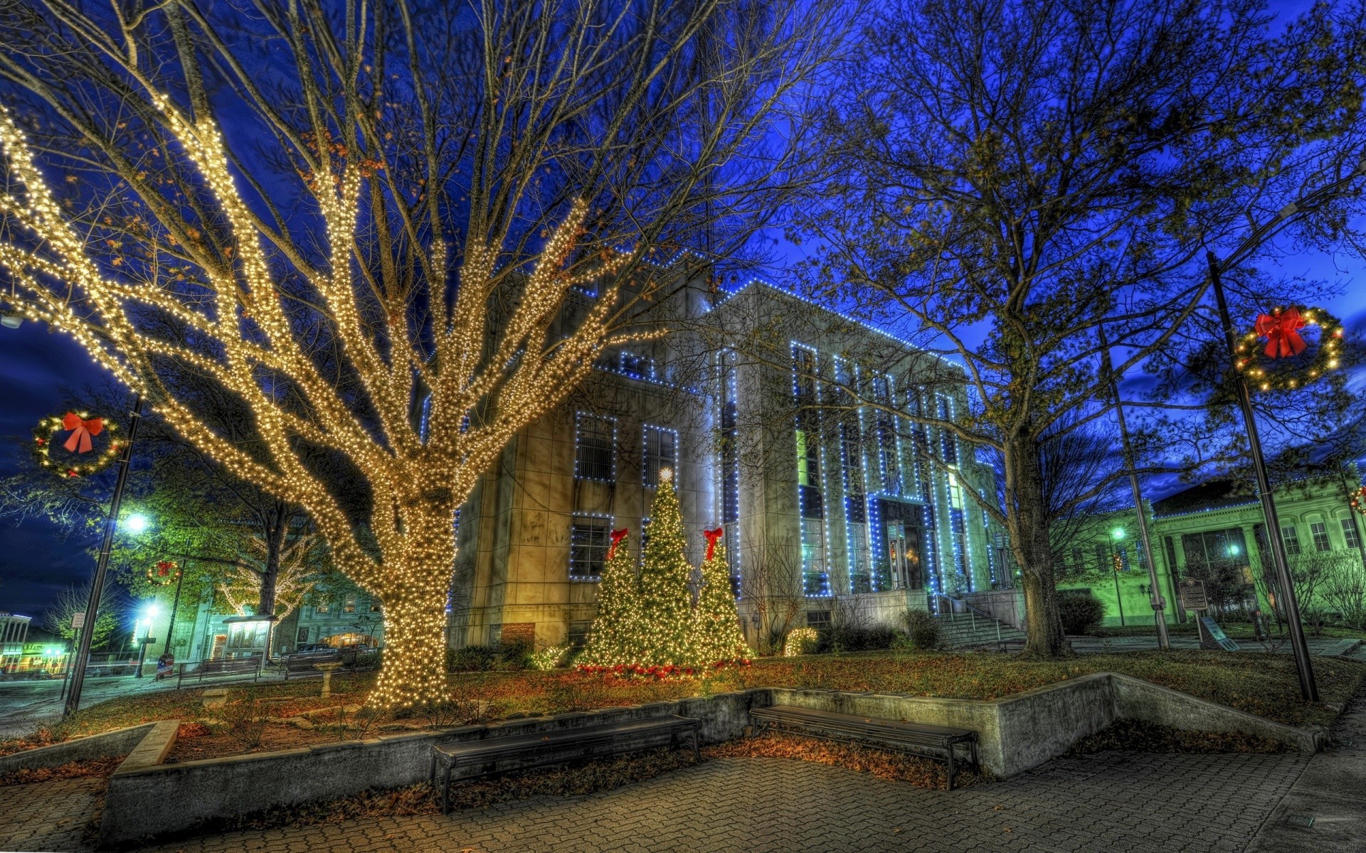 new year tree road fall light park landscape wood outdoors season winter city building evening