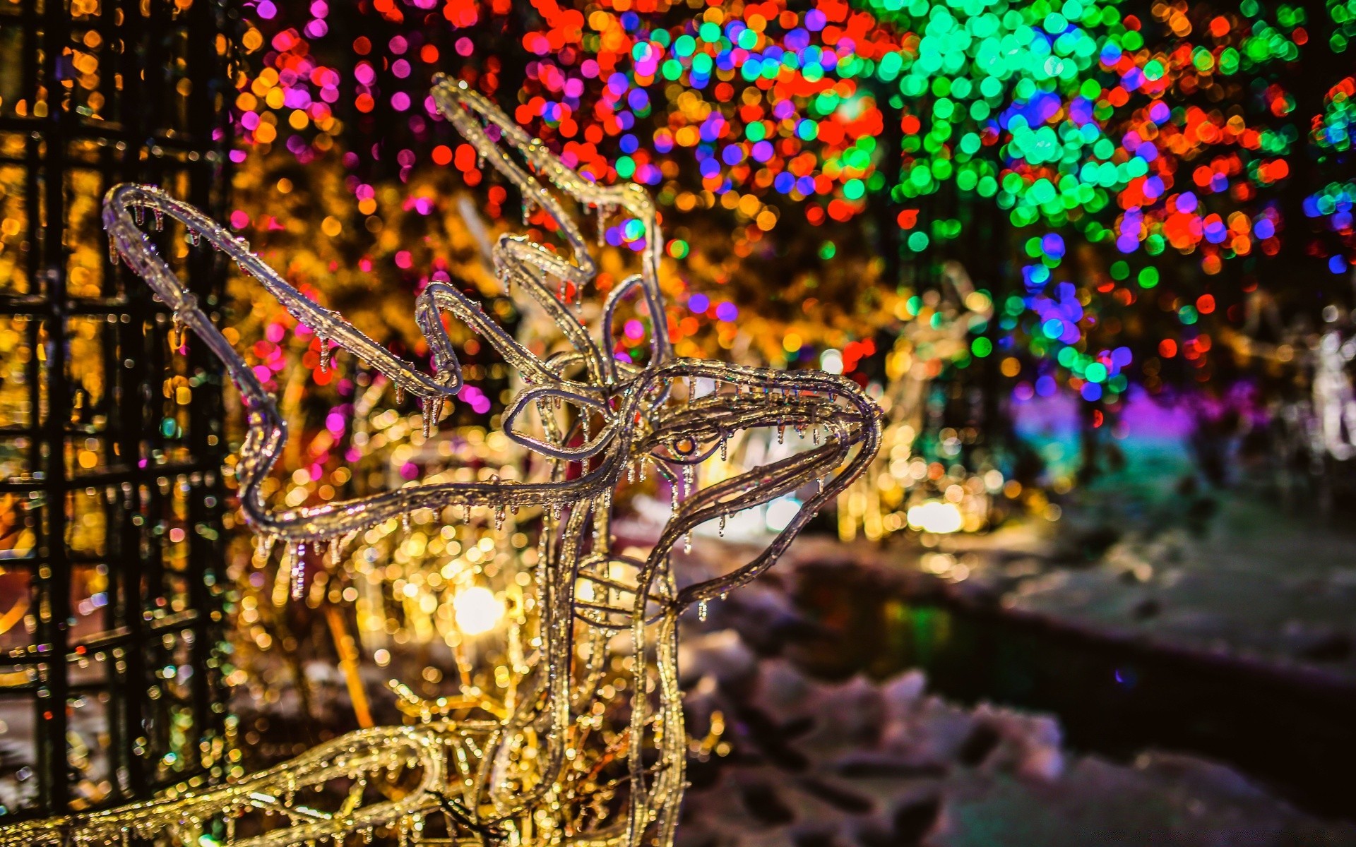 ano novo luz cor borrão feriado natal ouro