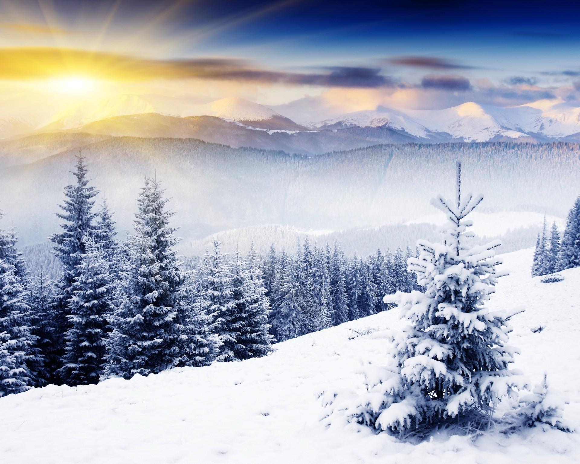 inverno neve fredda montagna di legno paesaggio gelo congelato abete stagione di ghiaccio albero di neve abete pino polvere scenic natale collina alpina