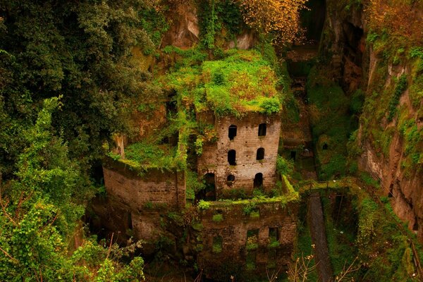 Märchenhaftes Haus auf einem bewachsenen Teich