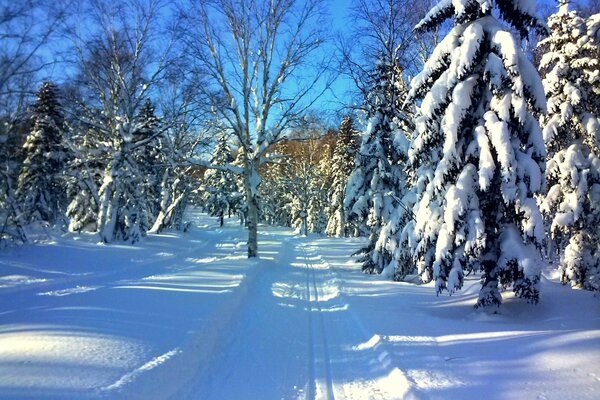 Kalter frostiger Winter mit Schnee