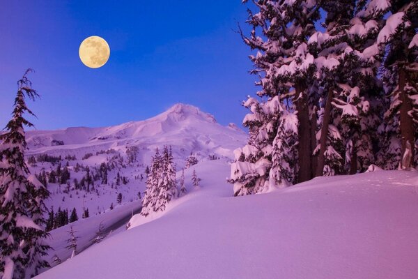 Bright big moon in winter