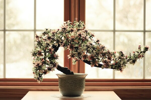 Árbol decorativo en flor junto a la ventana