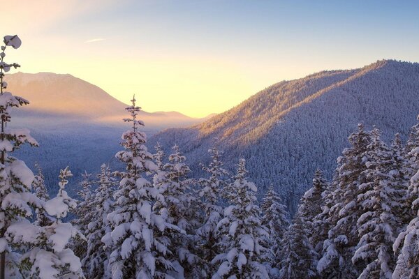 Verschneite Winterwanderung in den Bergen