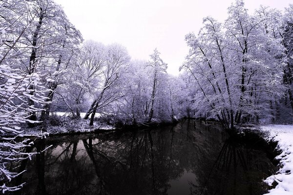 Hermosa naturaleza invernal en el arroyo