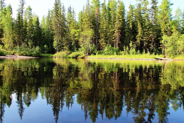 Pêche et loisirs sur le lac de la forêt