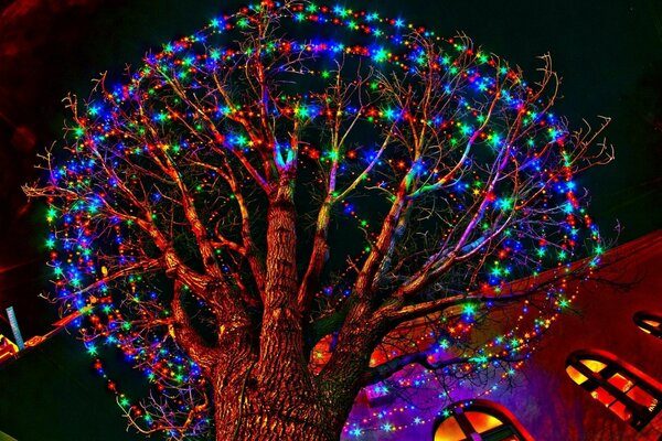 Festive New Year garland on a tree