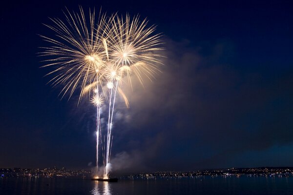 Salut festif dans le ciel nocturne