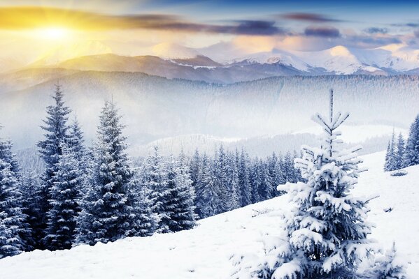 Uma paisagem que retrata um inverno branco frio