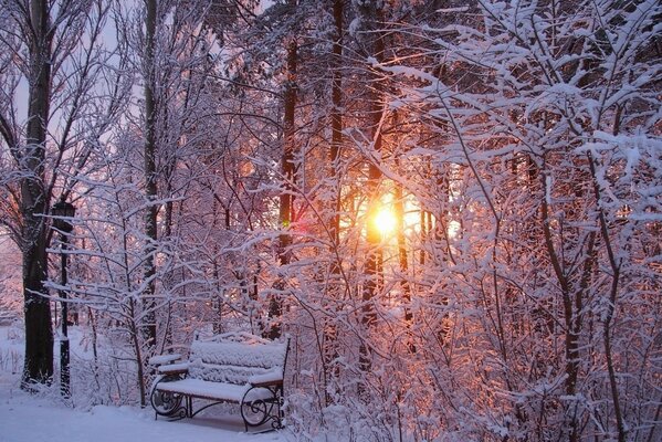 Commande le soir d hiver après une chute de neige