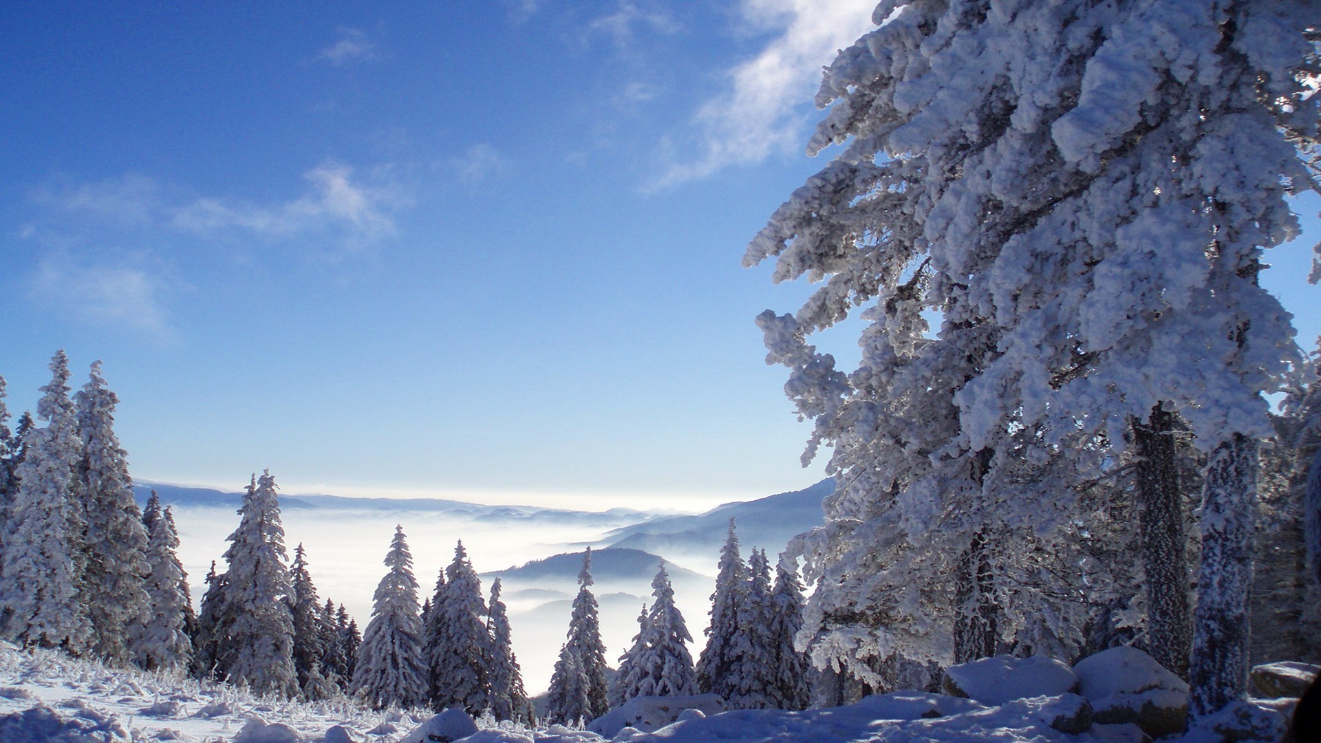 kış kar soğuk frost buz ahşap ağaç dağlar doğa donmuş manzara açık havada evergreen iğne yapraklı doğal hava durumu