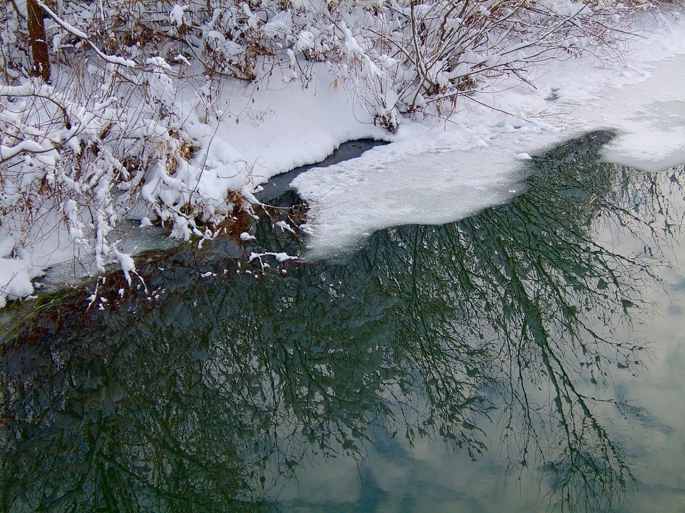 ríos estanques y arroyos estanques y arroyos invierno nieve agua frío hielo escarcha río naturaleza paisaje al aire libre árbol congelado tiempo corriente cascada medio ambiente madera helada mojado