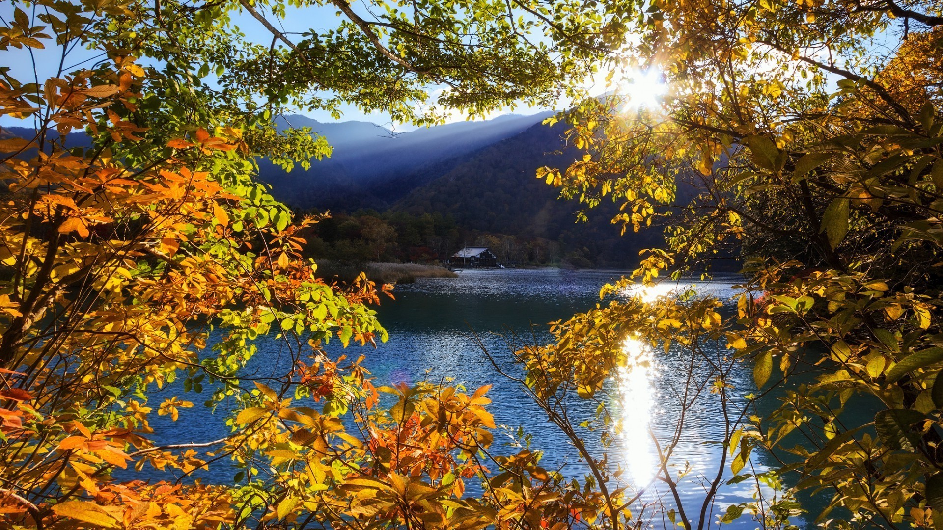 tramonto e alba autunno foglia albero legno acero natura paesaggio all aperto stagione scenico parco acqua ramo paesaggio lago bel tempo oro scena luce del giorno