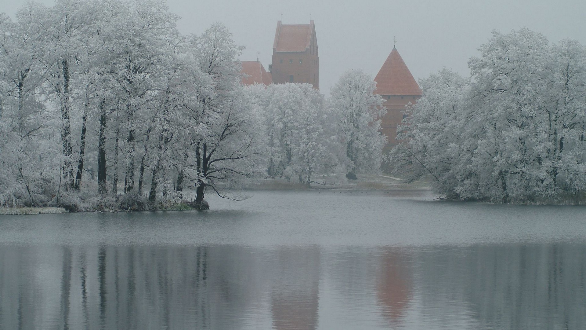 zima śnieg zimny mróz lód drzewo mrożone mgła krajobraz drewno pogoda mroźny świt woda mgła sceniczny charakter odbicie