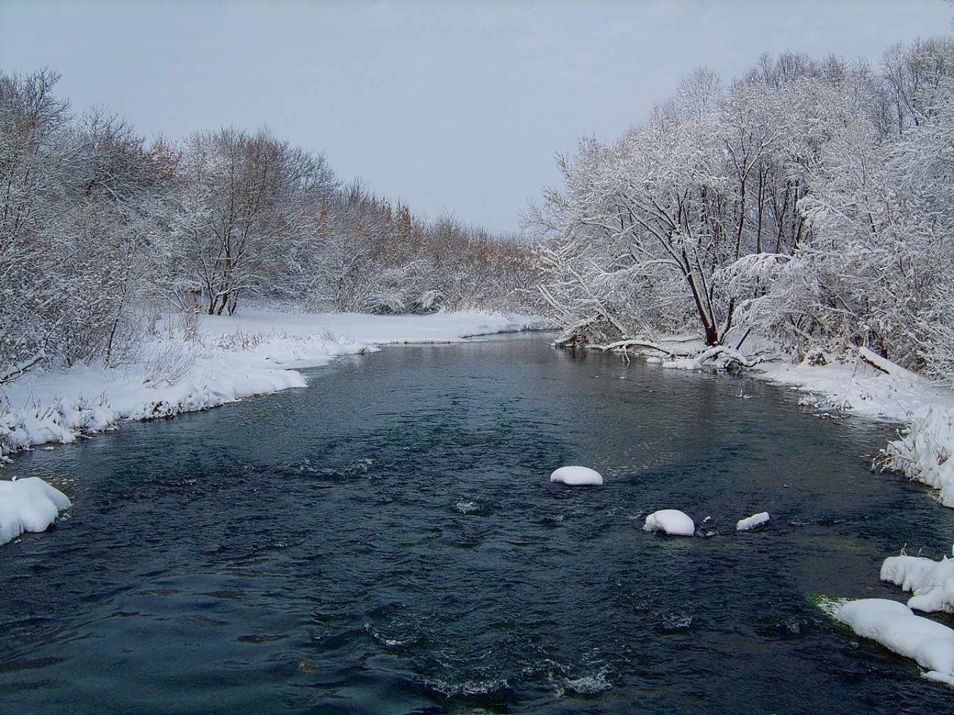 rivières étangs et ruisseaux étangs et ruisseaux hiver neige froid glace gel congelé météo paysage bois eau givré nature bois brouillard glacial neige-blanc rivière