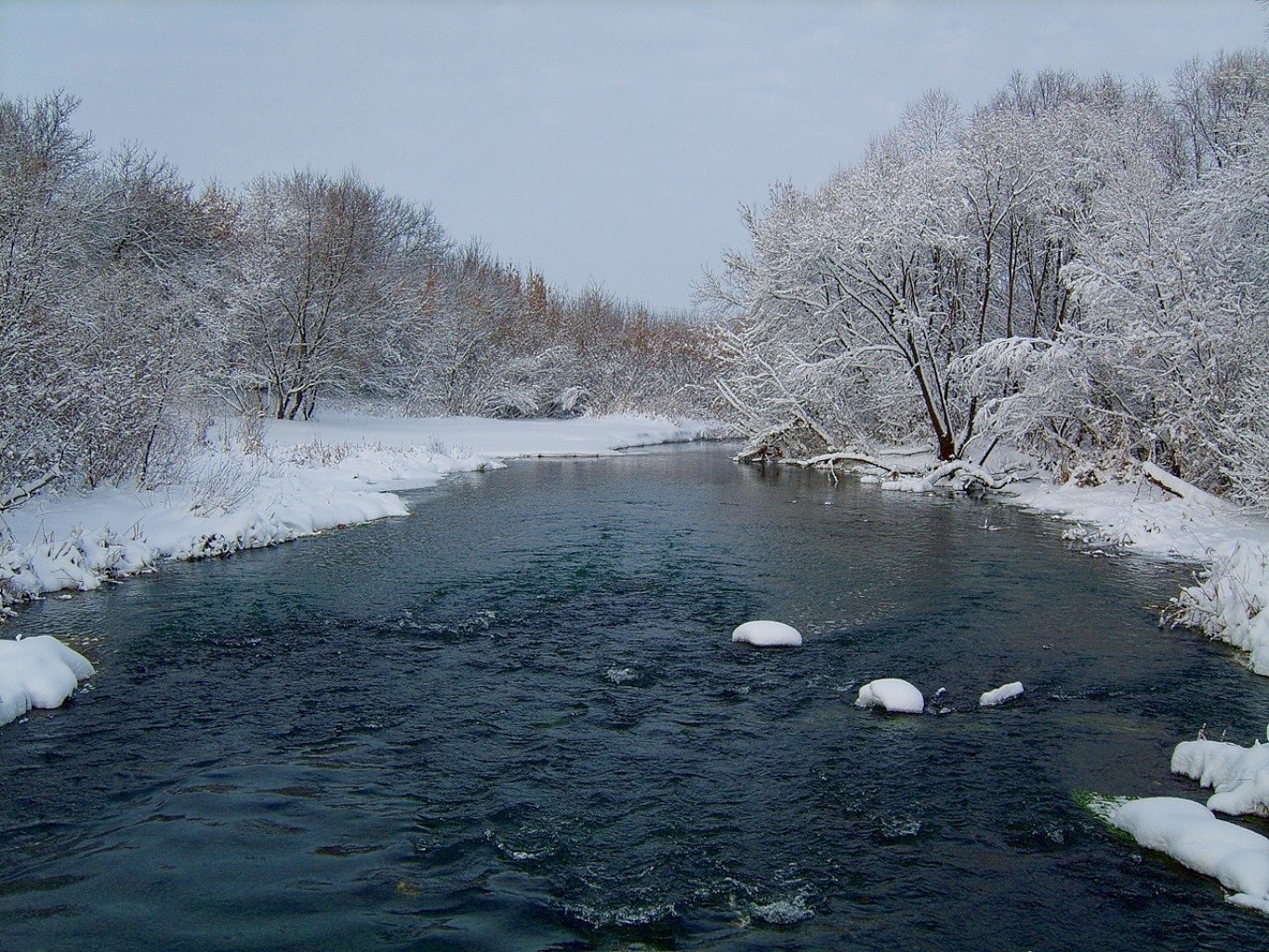 rivers ponds and streams winter snow cold ice frost frozen weather landscape tree water frosty nature wood fog icy snow-white river