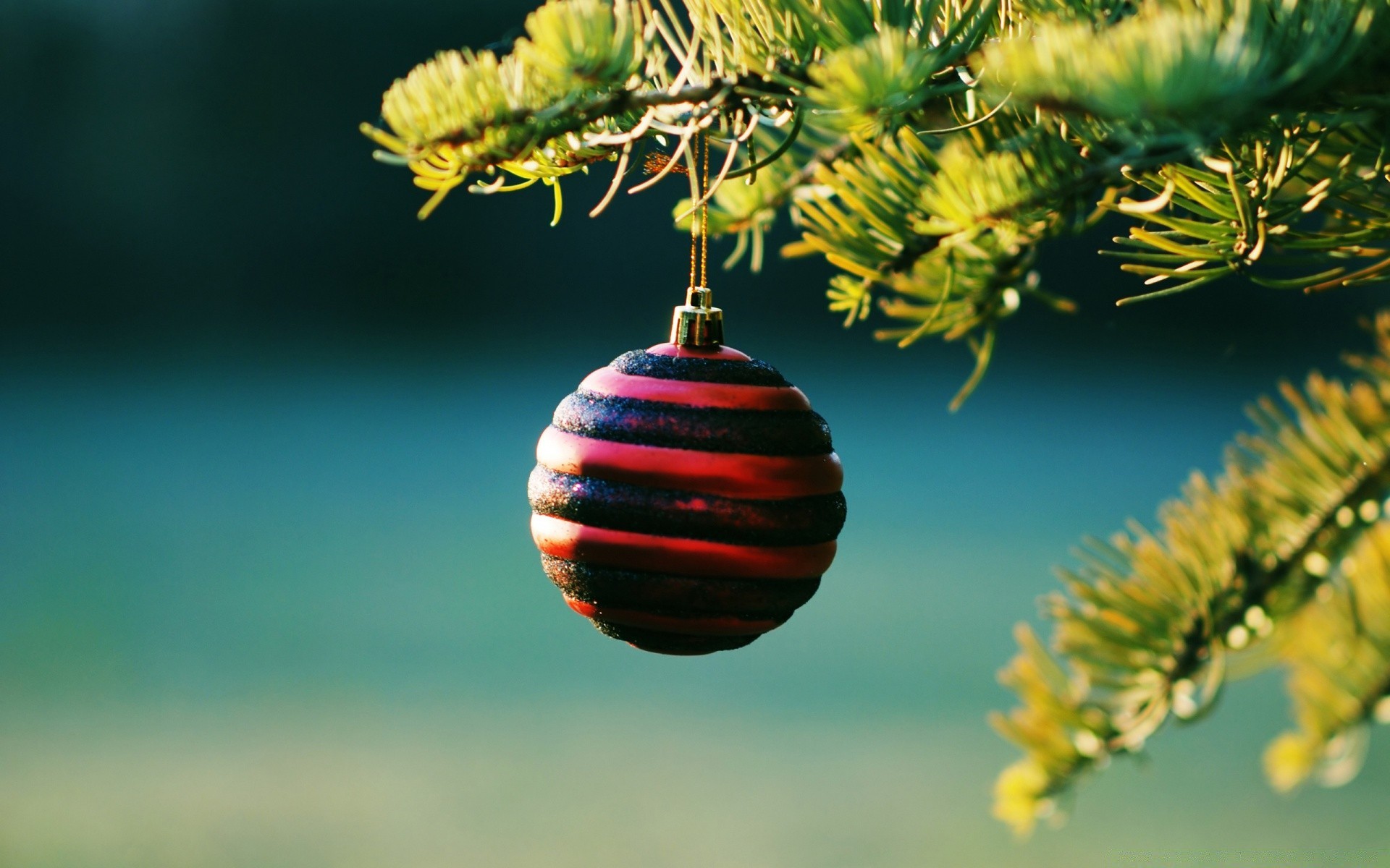 neujahr baum hängen weihnachten winter zweig dekoration ball gold natur evergreen hell scheint kiefer jahreszeit urlaub