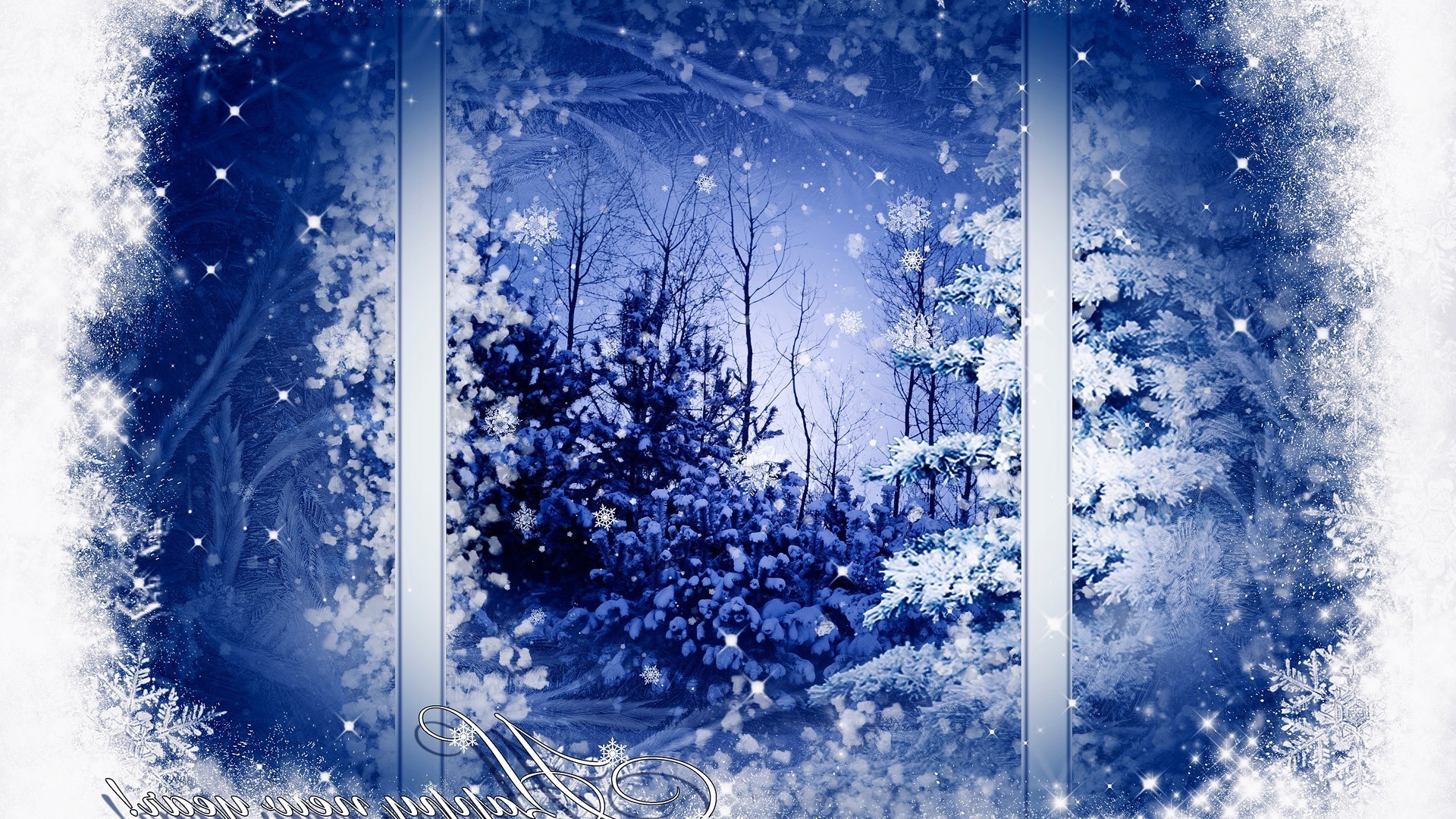 winter snow frost cold frozen ice christmas bright season tree nature sky desktop