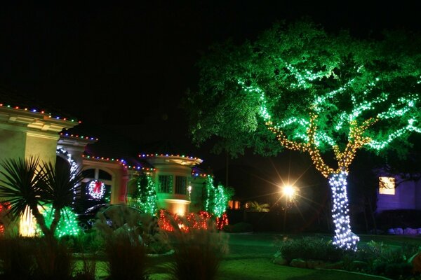 La magia serale del Natale in città