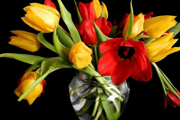 Bouquet de tulipes de couleur jaune et rouge