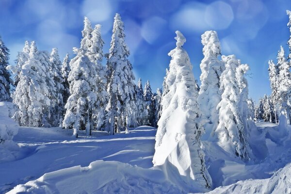 雪油和雪堆。 景观