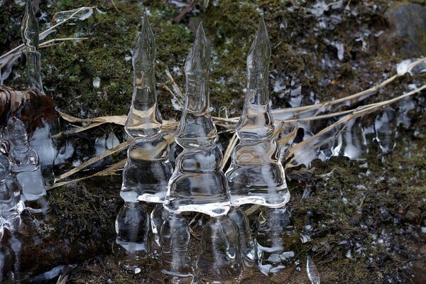 Three icicles stand like three soldiers