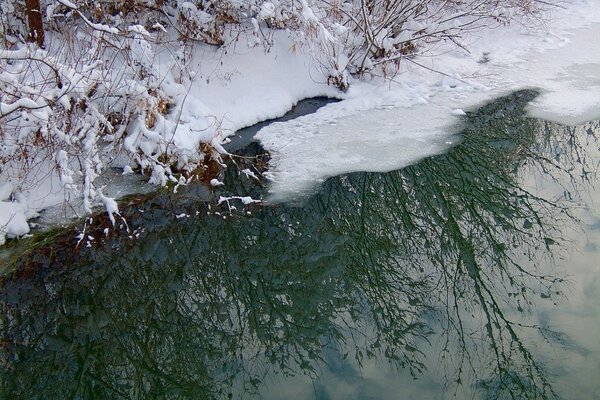 Arroyo de invierno en la nieve