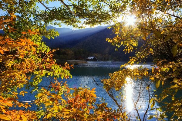 Autumn dawn on the river. Water and leaves are beautiful