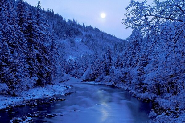 Paisaje invernal, bosque cubierto de nieve y río