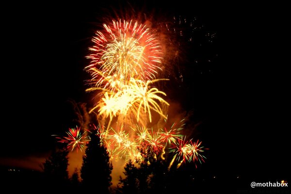 Feux d artifice flamboyants pour le nouvel an festif