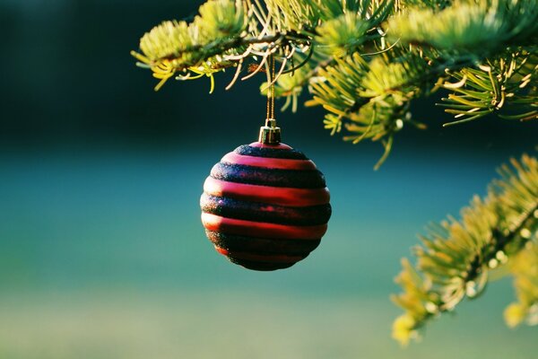 Christmas tree toy hanging on the branch of the Christmas tree