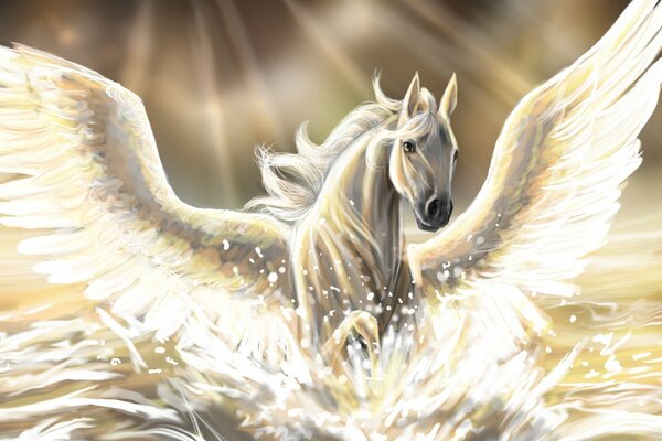 White Pegasus bathing in water